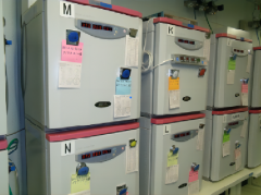 技术的革新与突