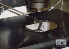 日本英医院的先