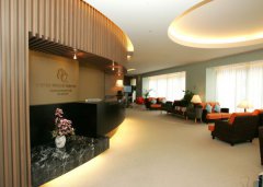 试管婴儿胚胎培