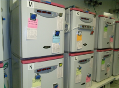 日本英医院：胚