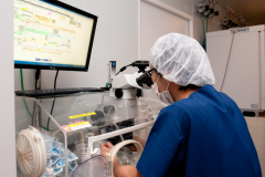 前沿胚胎培养技