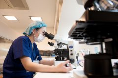 跨越艰难求子路