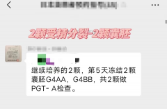 42岁拼三胎，终