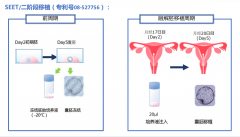 传递好孕：见证