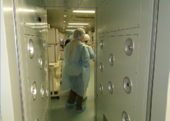 蒲公英助多囊试