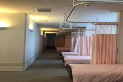 英院温情孕新生