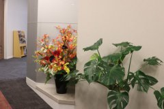 英医院，看见患